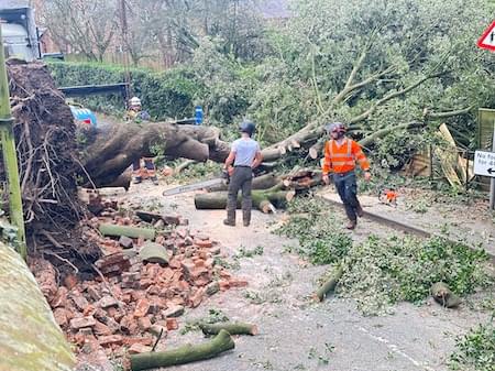 Work on clearing Pepper Street of the fallen tree