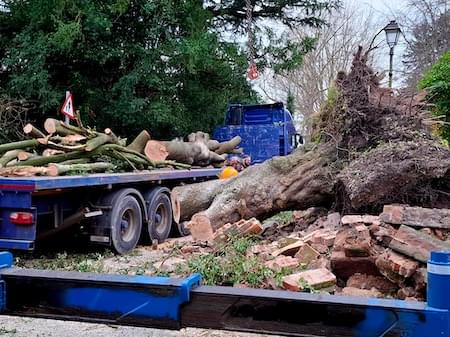 Tree removal in Papper Street, Christleton