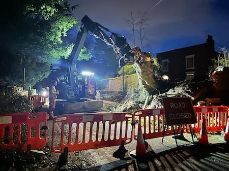 Nightime work on the tree root