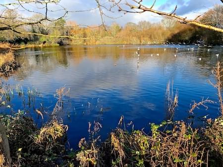 Christleton Pit in January