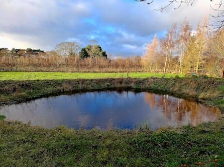 New Marl Pit along Bricky Lane, Christleton