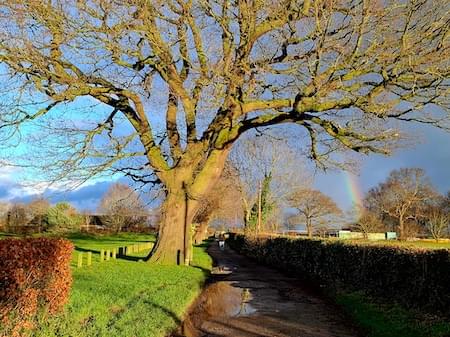 View towards Christleton Sports Club in January