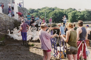 Swan Ringing Caernarvon