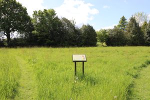 Village Meadow