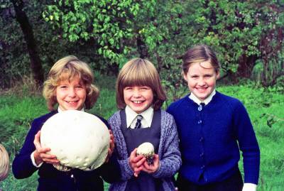  Large Puff Ball Fingi in Christleton, 1970's 