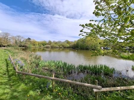 Near the Filter Trap on Littleheath Road