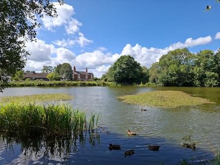 Christleton Pit in Mid Summer