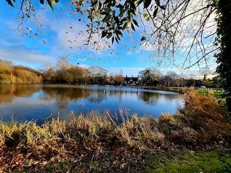 Christleton Pit in December